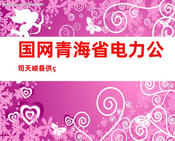 国网青海省电力公司天峻县供电公司
